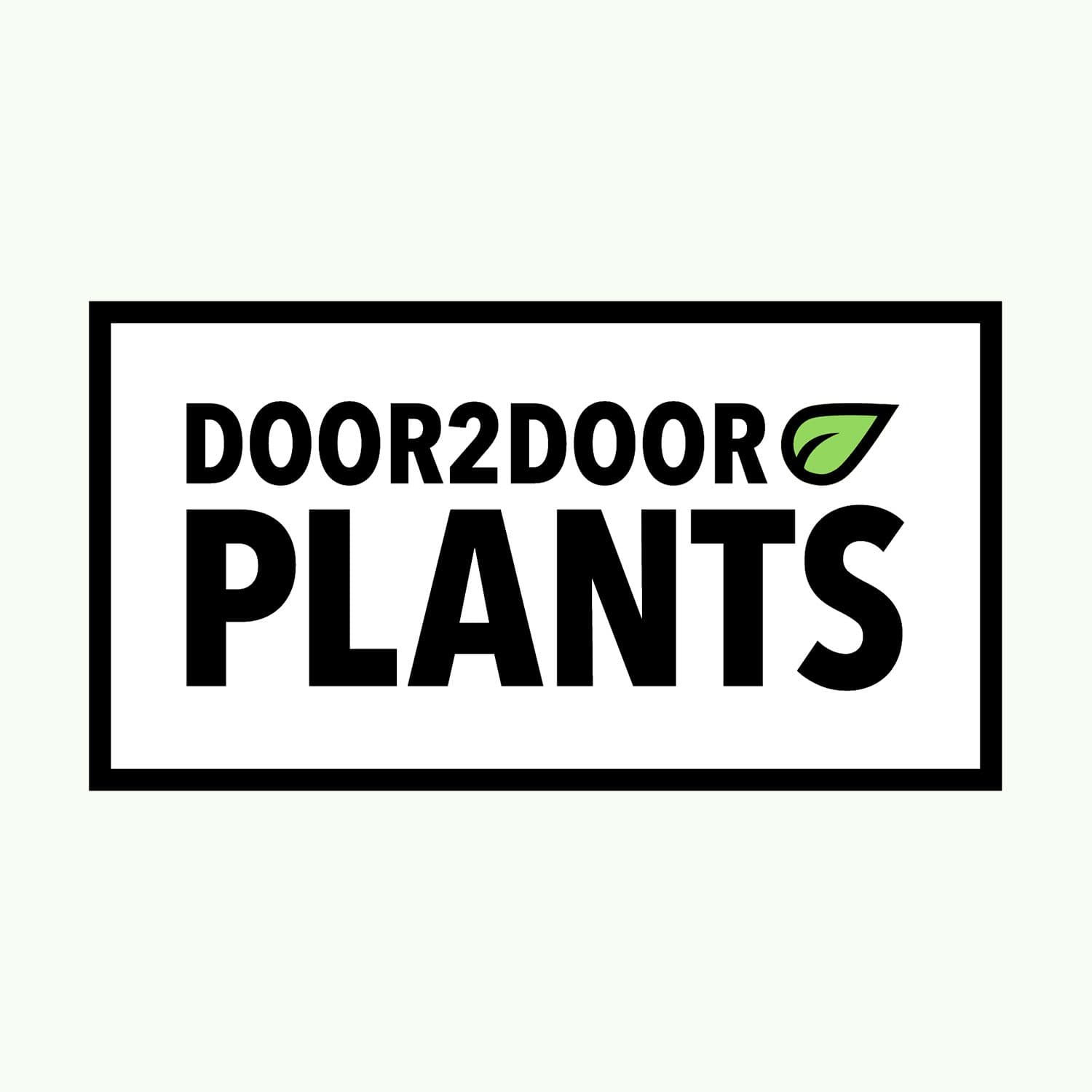 Growing an eCommerce boutique plant brand