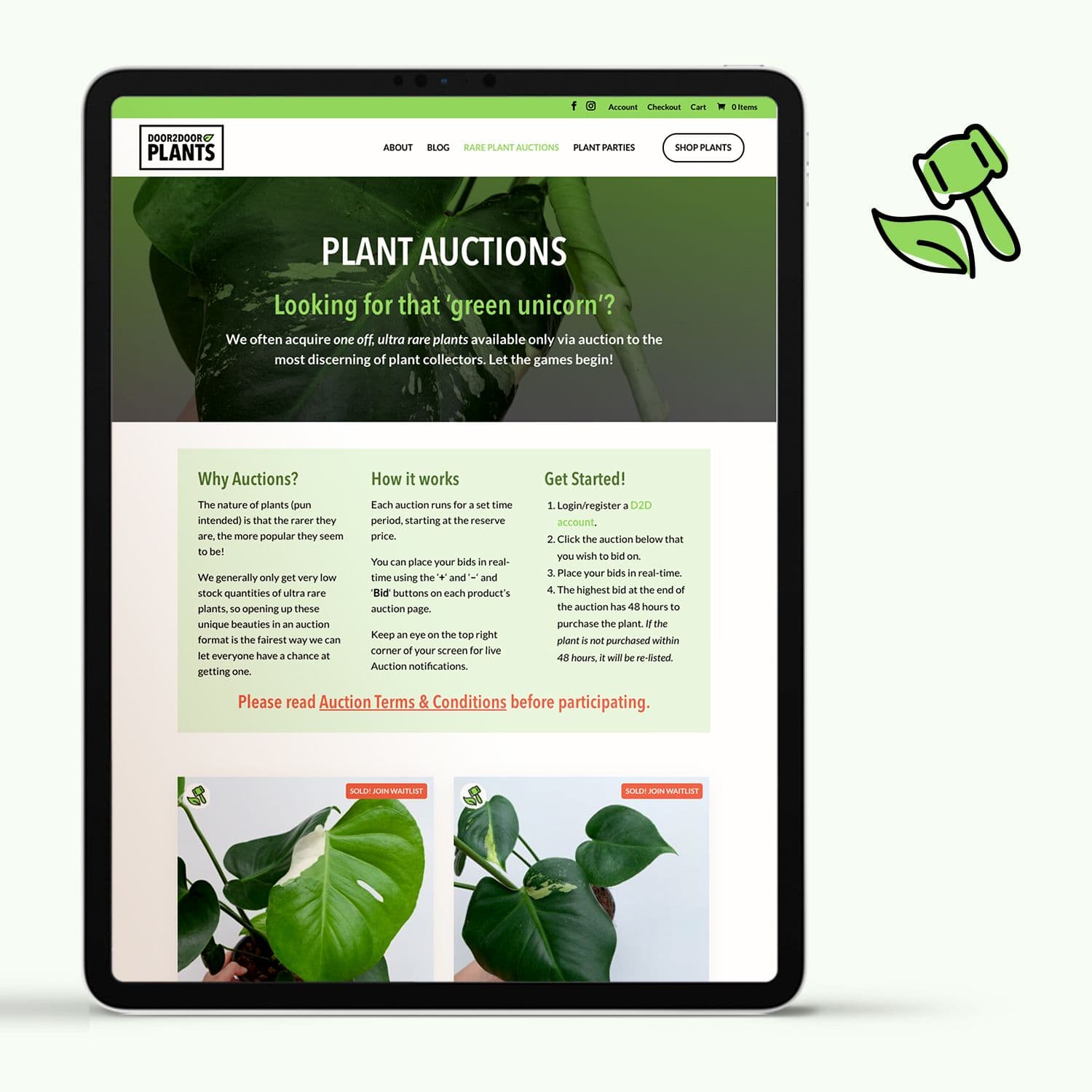 Growing an eCommerce boutique plant brand