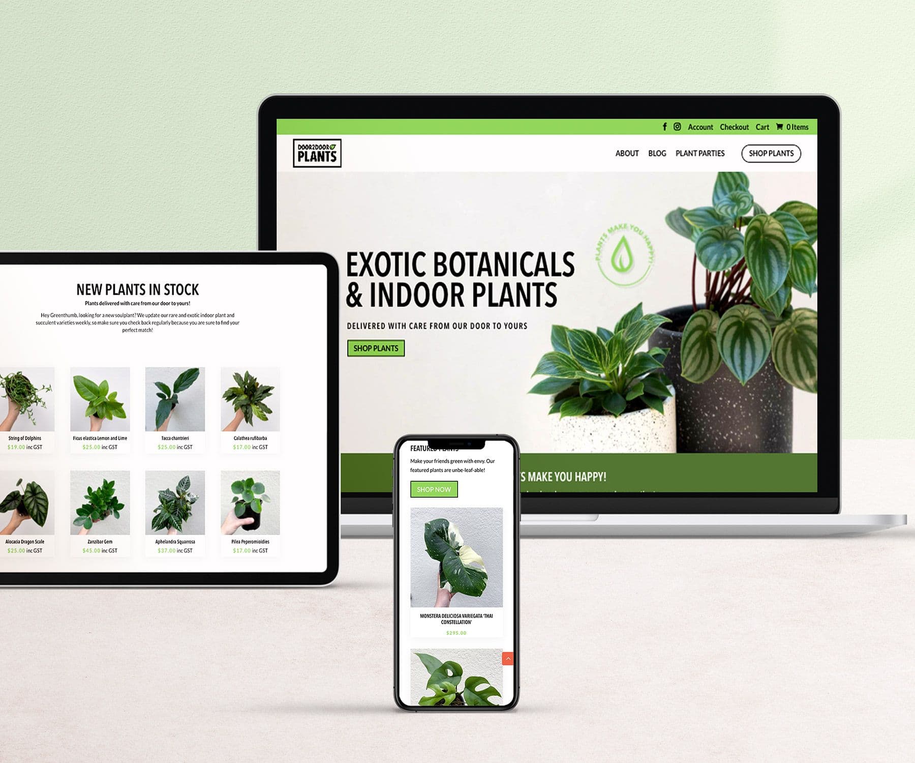 Growing an eCommerce boutique plant brand