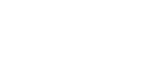 BPDZenith logo