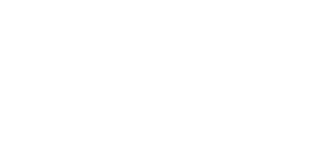 Budgetly